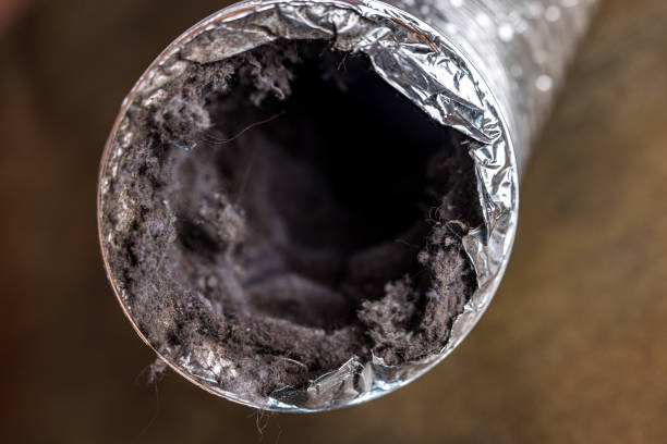 Best HVAC Air Duct Cleaning  in Dutch Island, GA