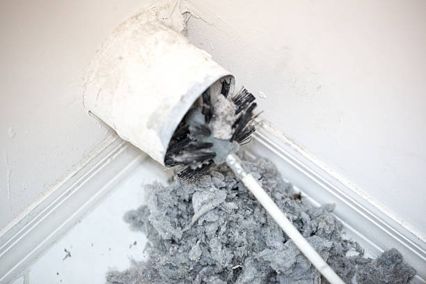 Best Home Air Vent Cleaning  in Dutch Island, GA